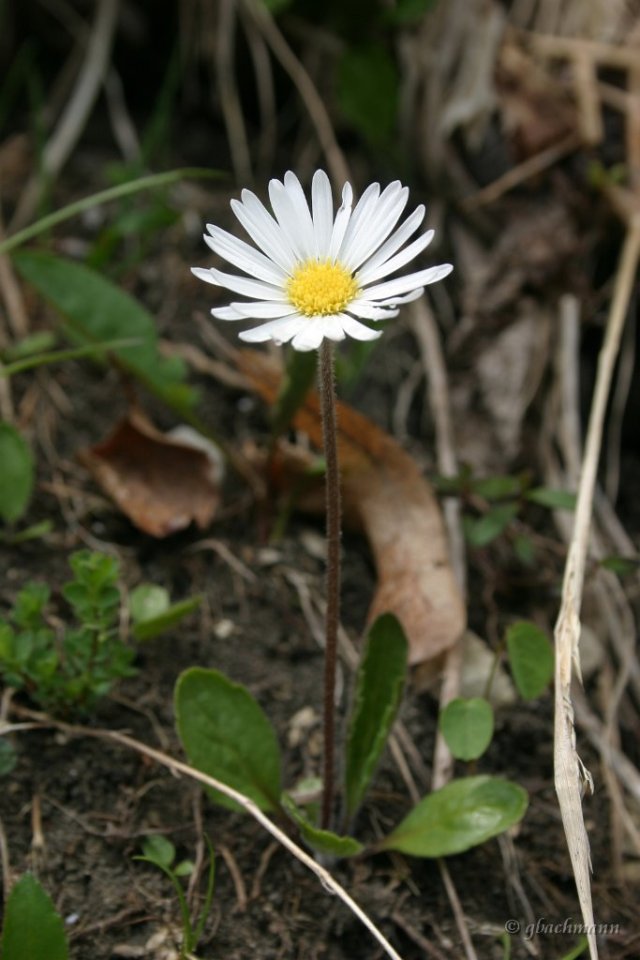 20050521_056